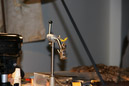 DSC02930
